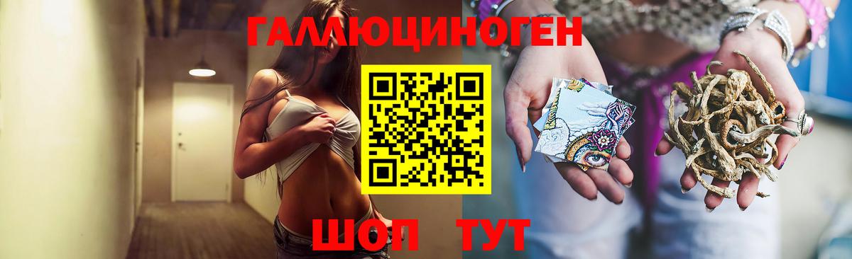 Галлюциногенные грибы Cubensis Новоалтайск